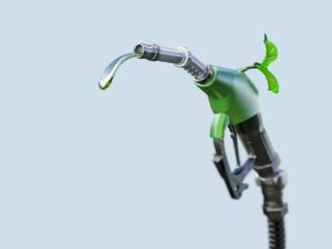 Biofuel Enery